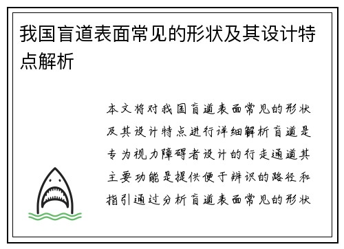 我国盲道表面常见的形状及其设计特点解析